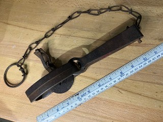 Victor Oneida Animal Trap