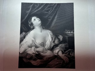 Antique Engraving Prints