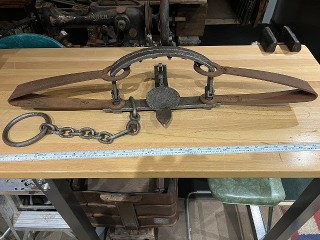 S. Newhouse #15 1895 Bear Trap